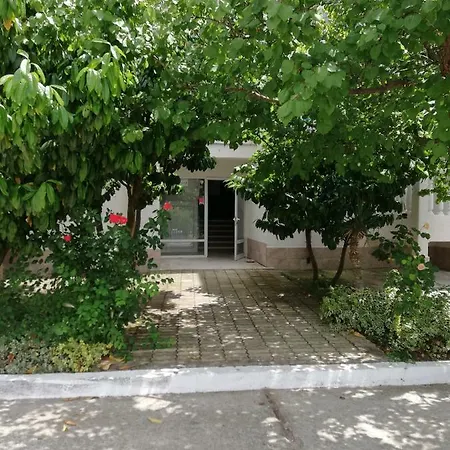 Bravo 1-vichevi